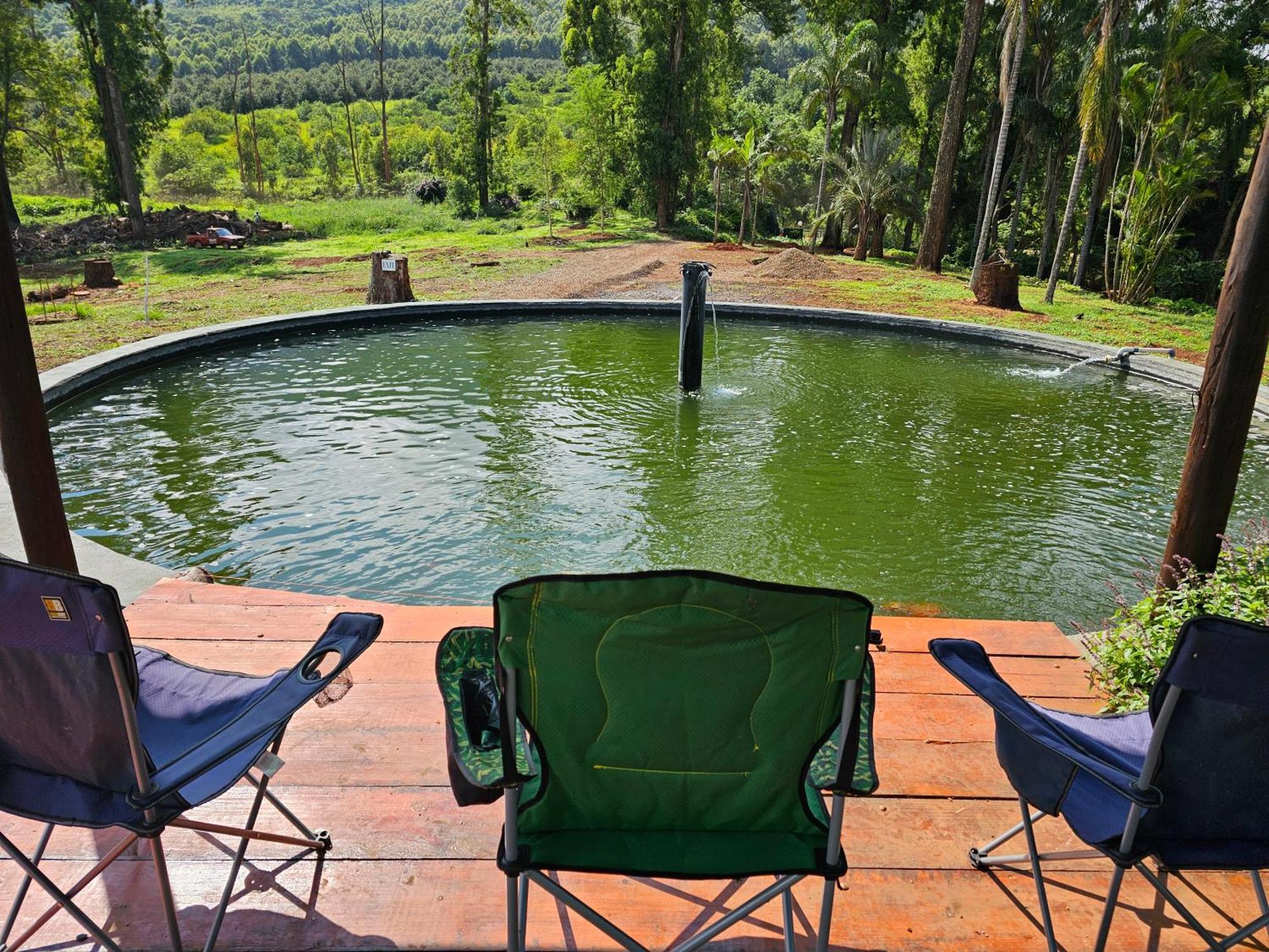 Pecan Farm Guesthouse Louis Trichardt Eksteriør bilde